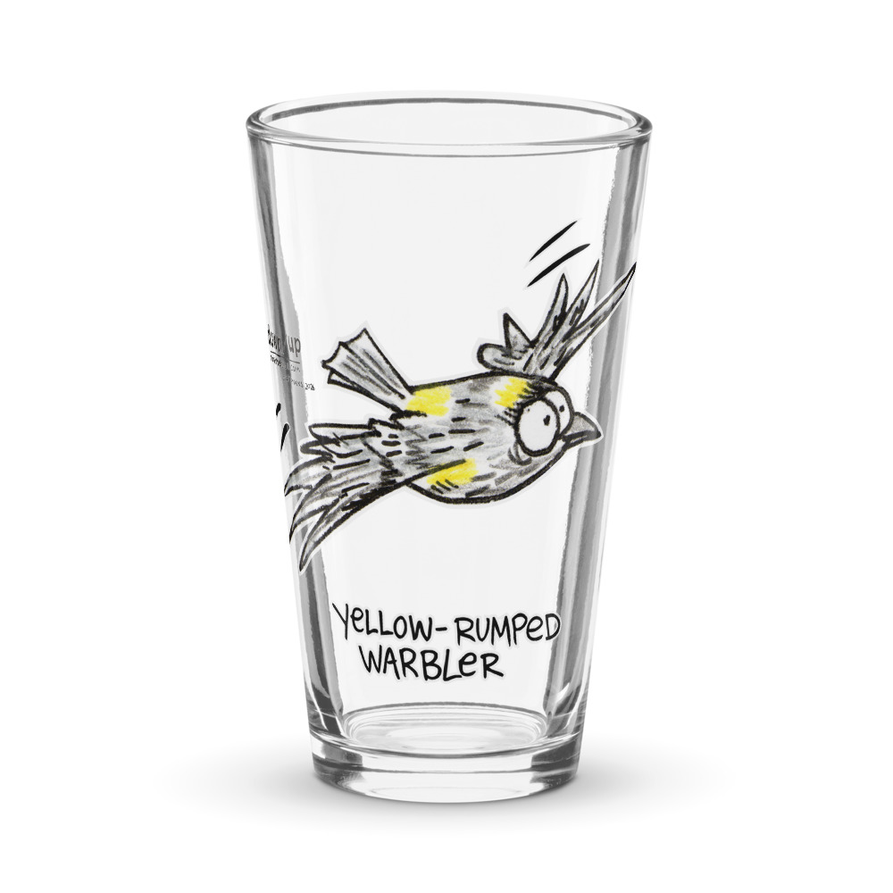 Yellow-rumped Warbler — Pint Glass